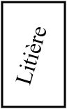 litière chat