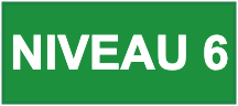 Niv 6