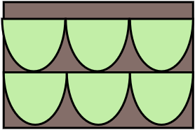 oliv
