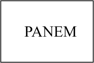 PANEM