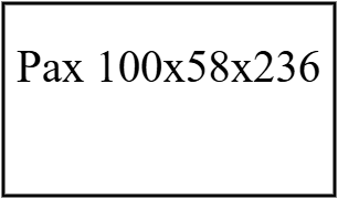 Pax 100x58X236