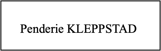 Penderie KLEPPSTAD 177 x 55