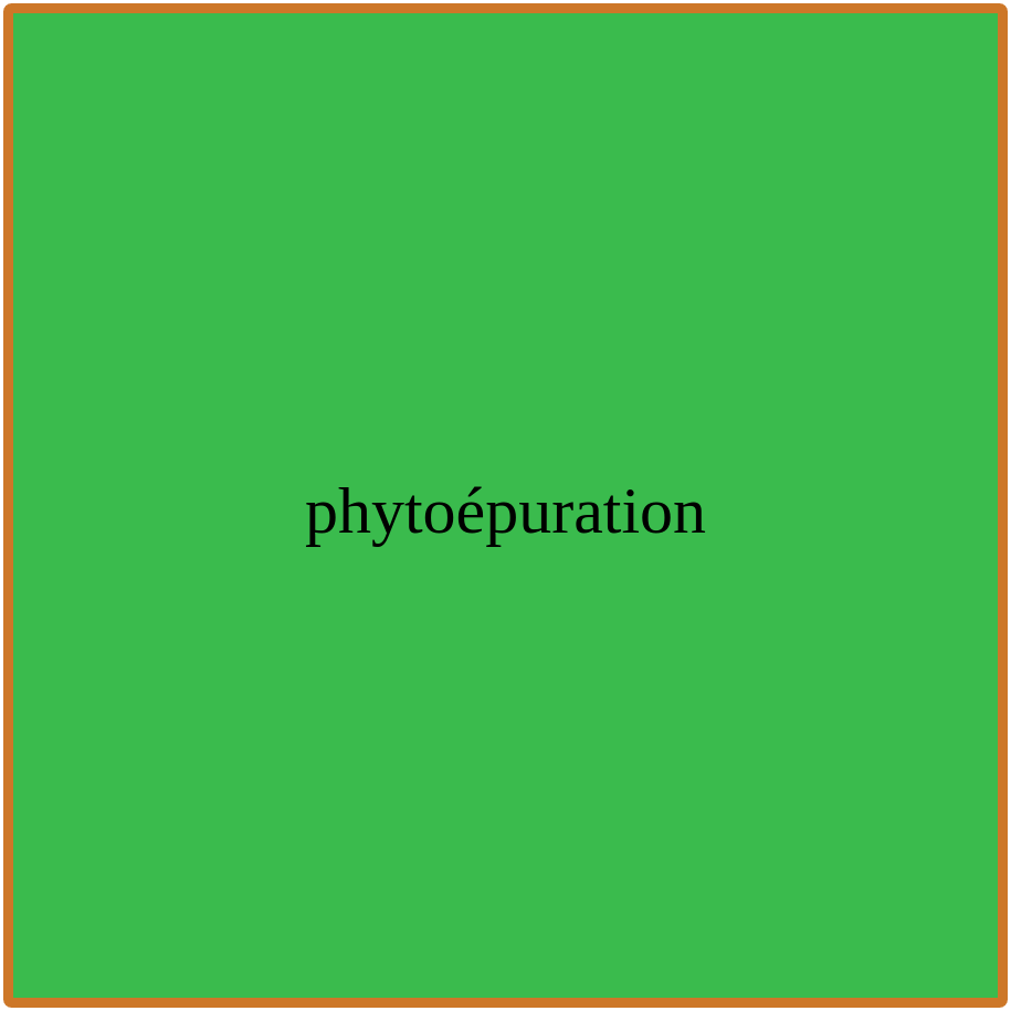 Phytoépuration