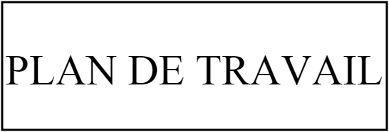 PLAN DE TRAVAIL