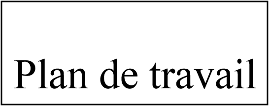 PLAN DE TRAVAIL
