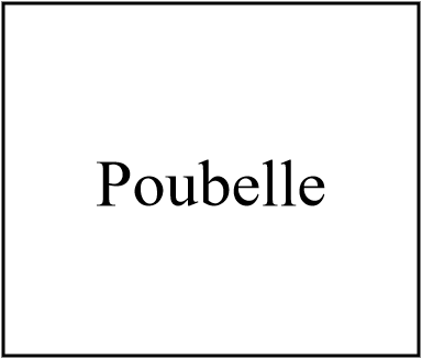 Poubelle 1000L