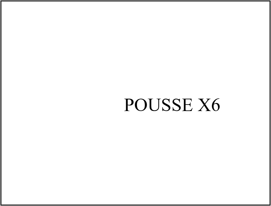 POUSSE X6