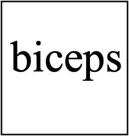 pupitre biceps
