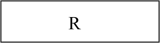 Rameur