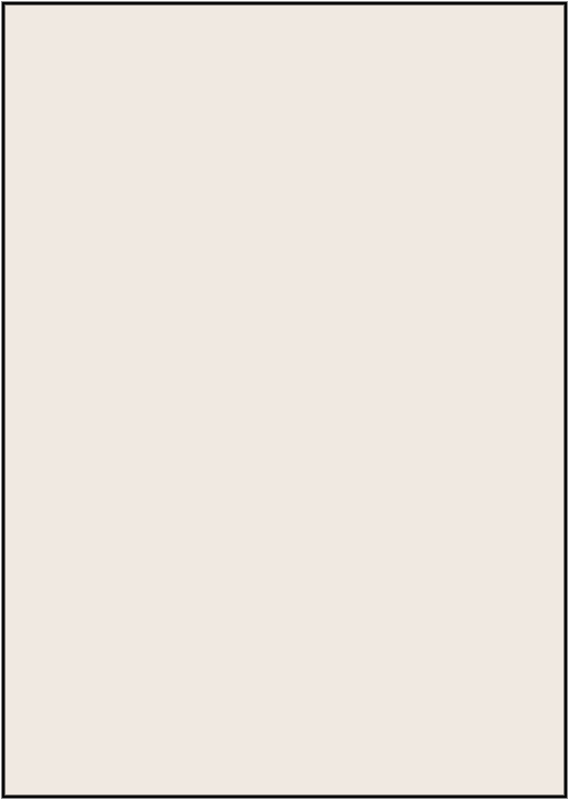 Rug 170x240