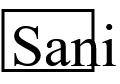 Sani Broyeur