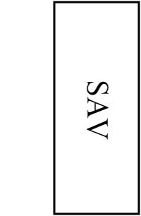 SAV