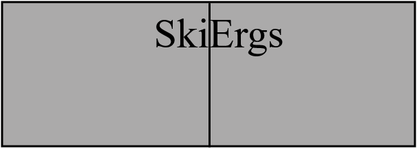 SkiErgx2