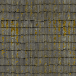 Tuile grise lichen