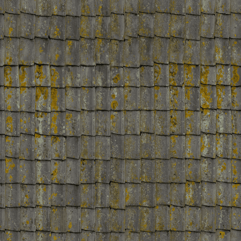 Tuile grise lichen