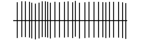 vetement