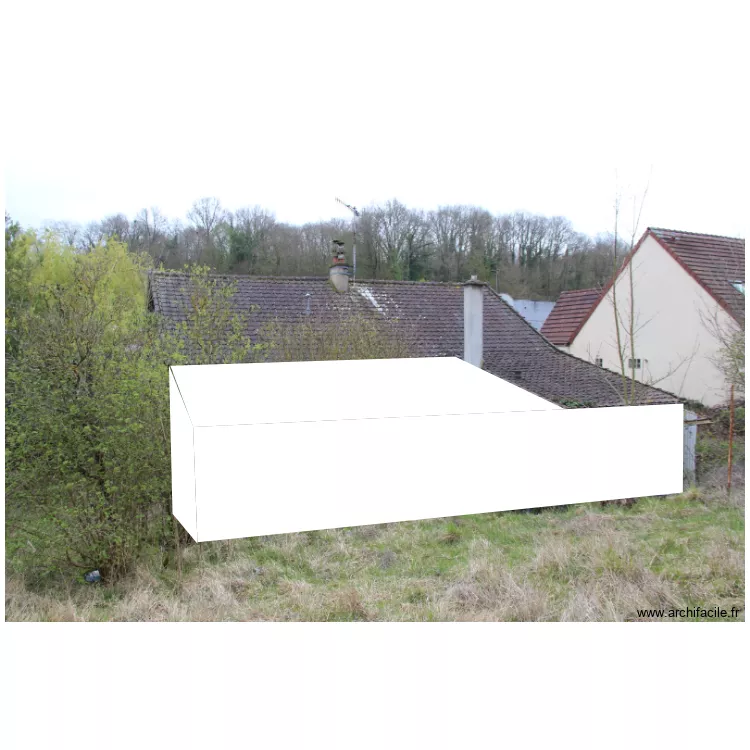 Insertion site. Plan de 