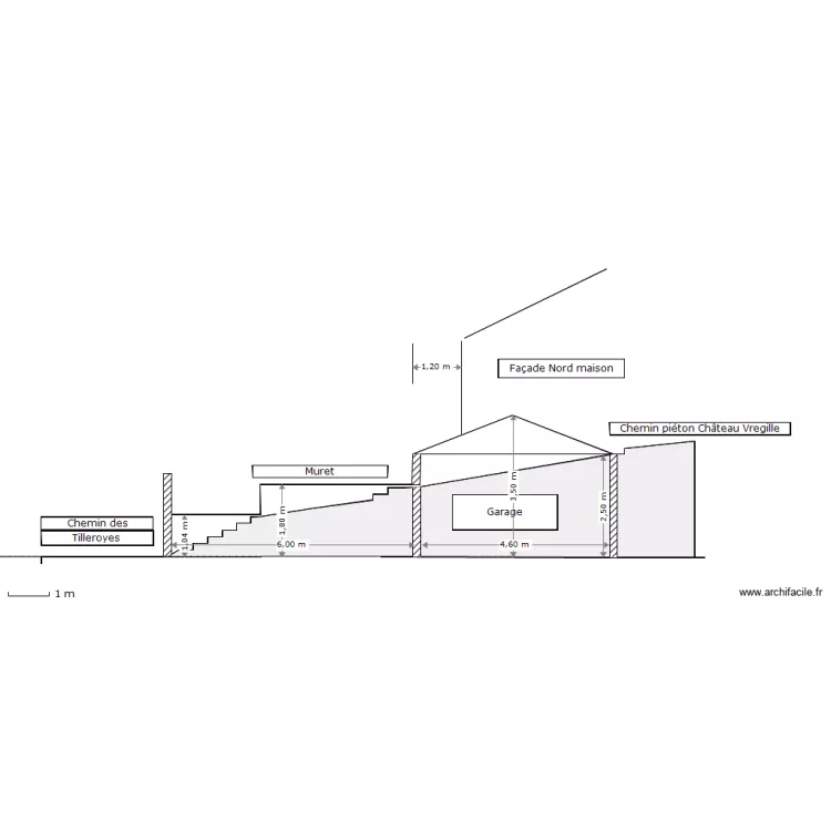 DP3  COUPE DU TERRAIN AU DROIT DU CHEMIN PIETON. Plan de 