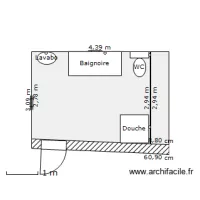 SdE 2 c
