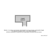BI 6906 CAVE 