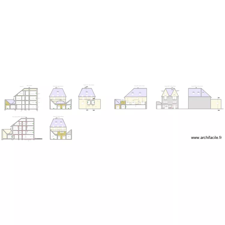 Coupe Pasteur. Plan de 