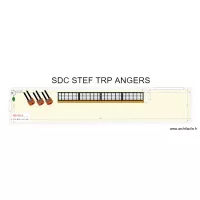 SDC STEF TRP ANGERS