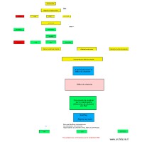 designation