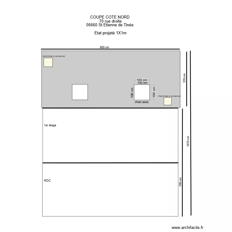 ETAT PROJETE 1X1M. Plan de 
