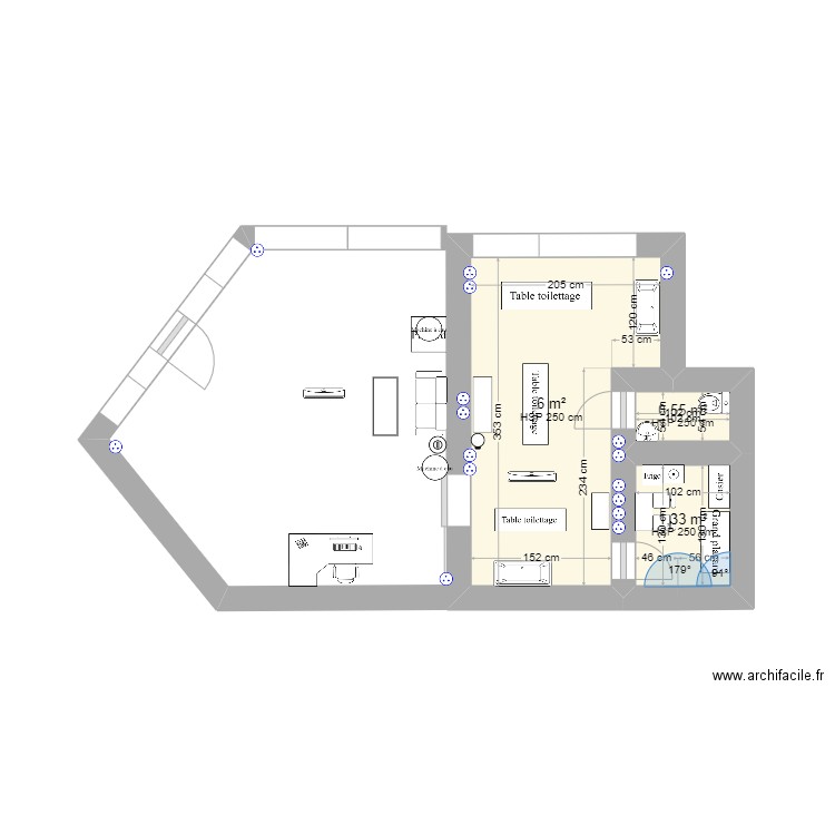 Mon salon de toilettage. Plan de 3 pièces et 8 m2