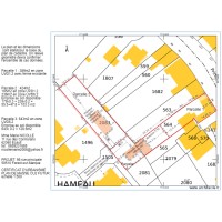 Plan de masse division