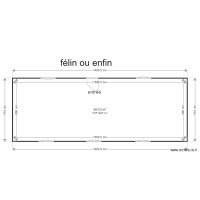 félin ou enfin