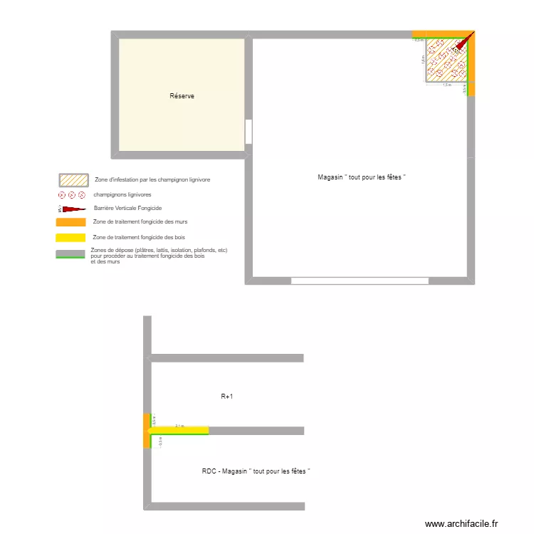 tout pour les fetes champignon de pourriture fibreuse. Plan de 