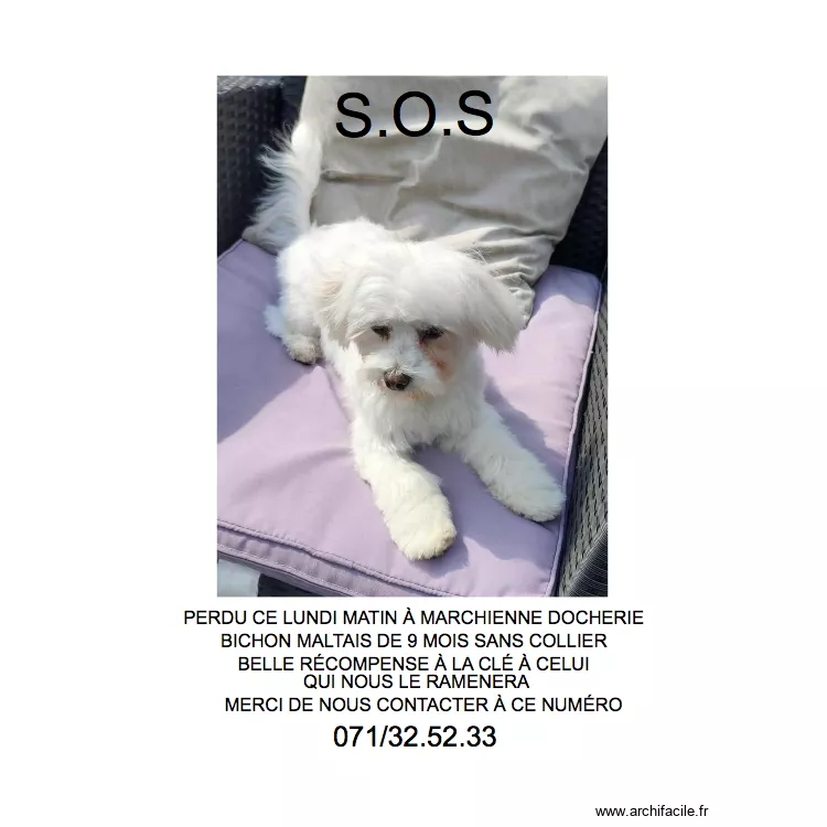 DIEGO. Plan de DIEGO. Plan de