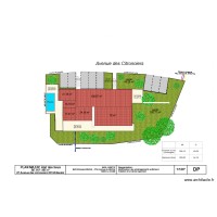 Plan masse Etat des lieux citronniers