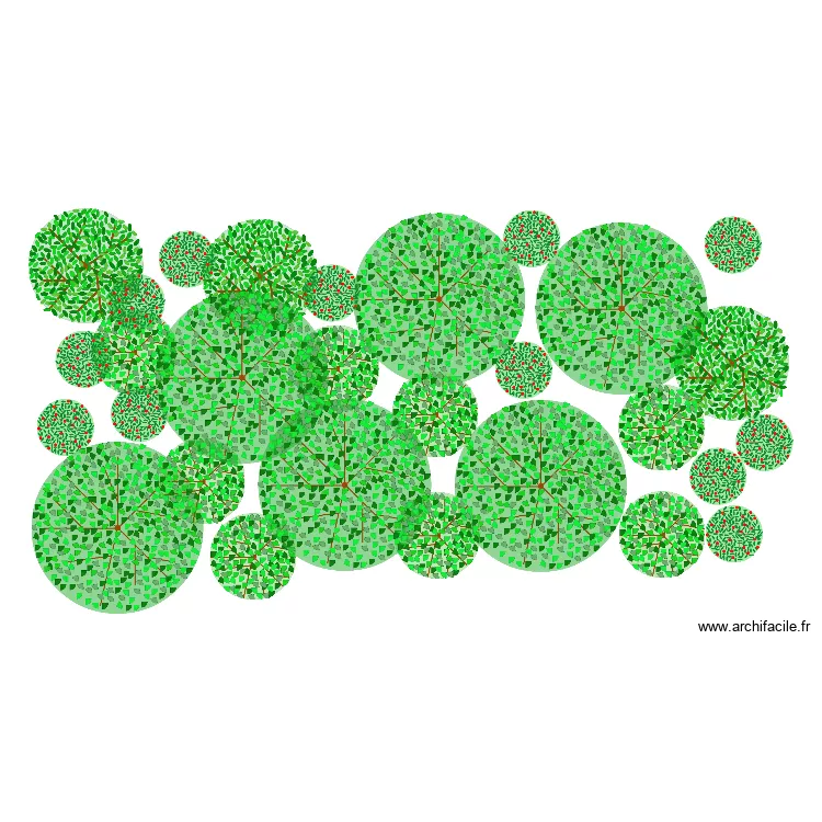 les arbres01. Plan de 
