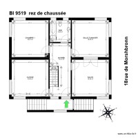 BI 9519
