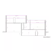 Projet RDF_Coupe Extension_4_sans escalier cave