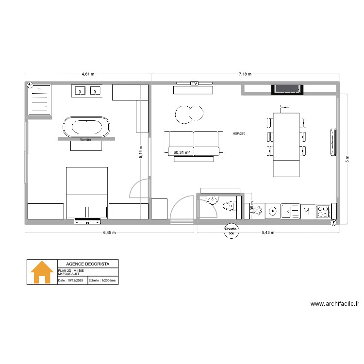 2D_V1BIS_PAUL. Plan de 1 pièce et 60 m2