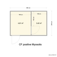 CF Myosotis