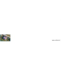 plan echelle simplifié 