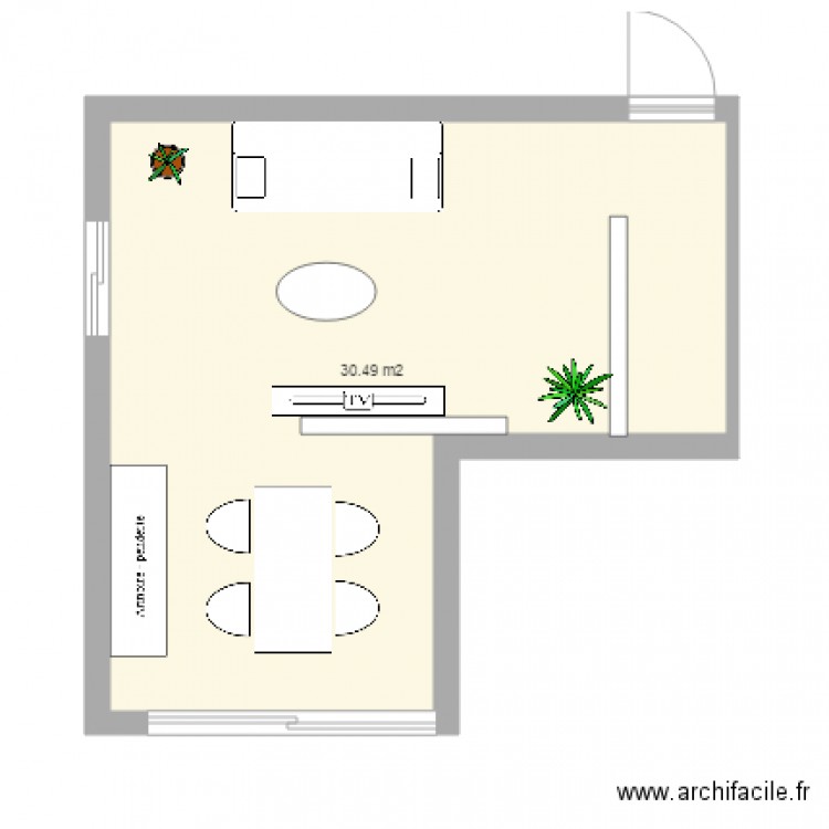 salon. Plan de 1 pièce et 30 m2