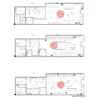 PLAN IMPLANTATION "AFRICAN FRUITY"