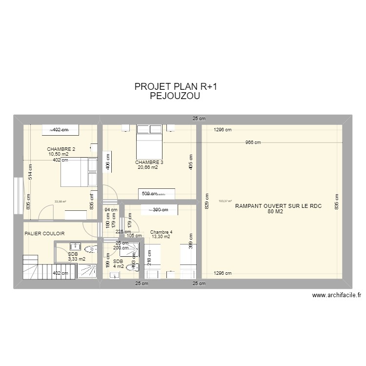 PROJET PLAN R+1 Pejouzou ter. Plan de 2 pièces et 137 m2