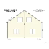 pignon gauche permis 3 thiriet
