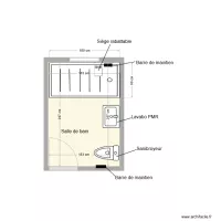 MARTY Pauline Salle de bain adaptation