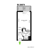 BI 20874