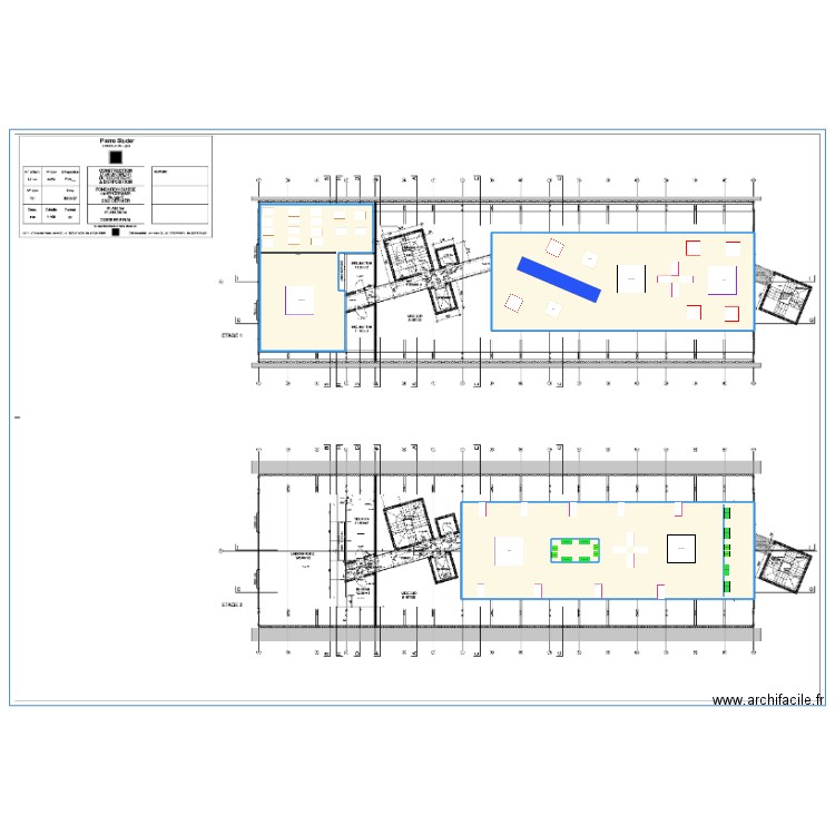 plant mycorama pemier et deuxième. Plan de 4 pièces et 750 m2