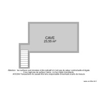 BI 9922 CAVE