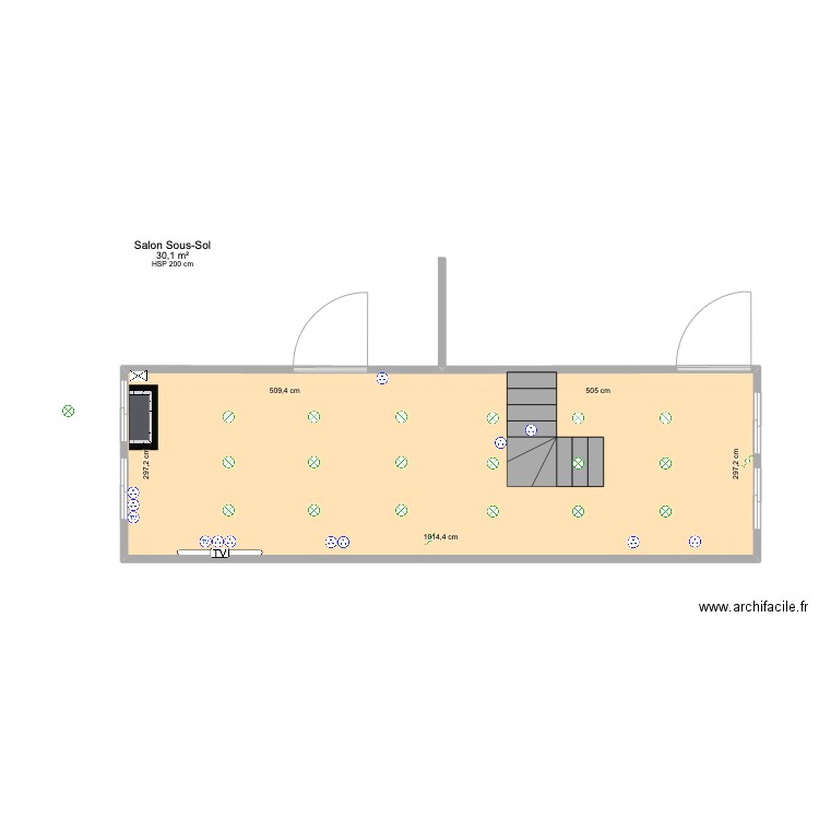 Salon Sous-Sol. Plan de 1 pièce et 30 m2