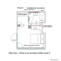 Chambre Solarium version sanibroyeur petite douche